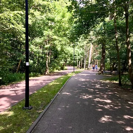 Kamien I Morze * Gdansk